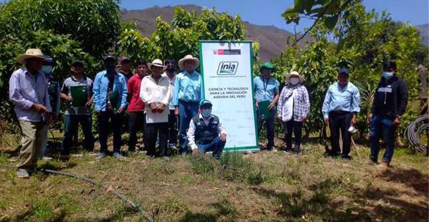 Piura: productores de cacao se capacitan para mejorar sus cultivos