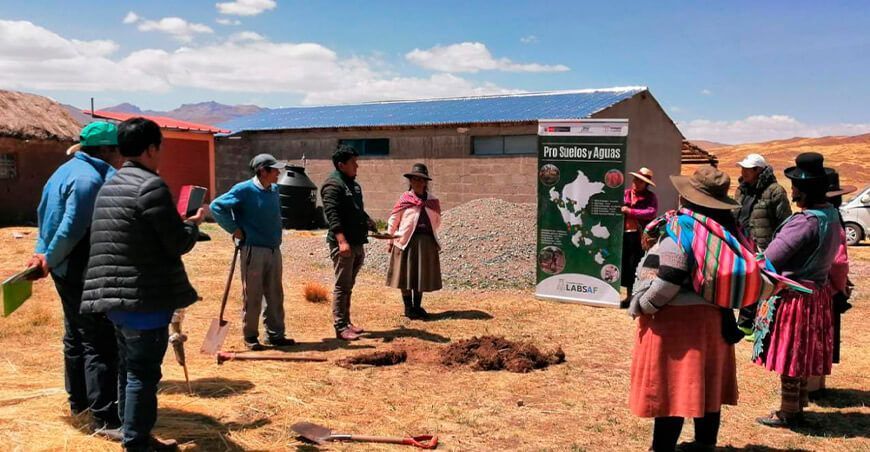 Transfieren tecnologías para mejorar calidad alimenticia de ganado en Puno