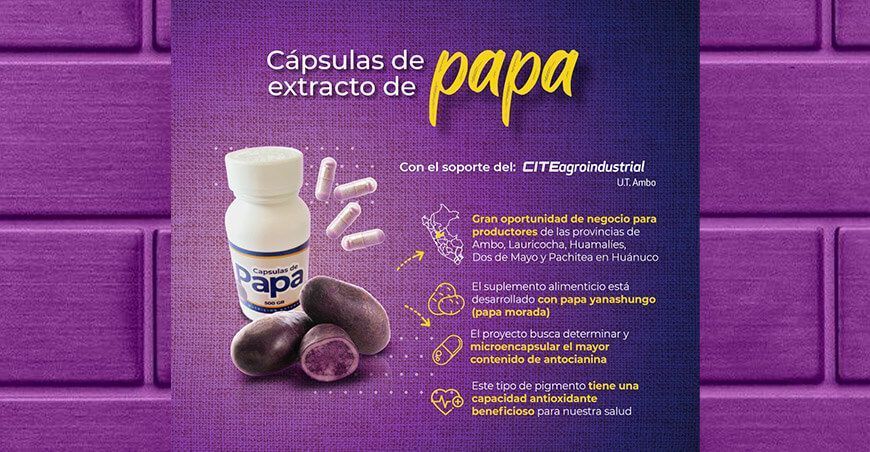 cápsulas de papa yanashungo papa morada