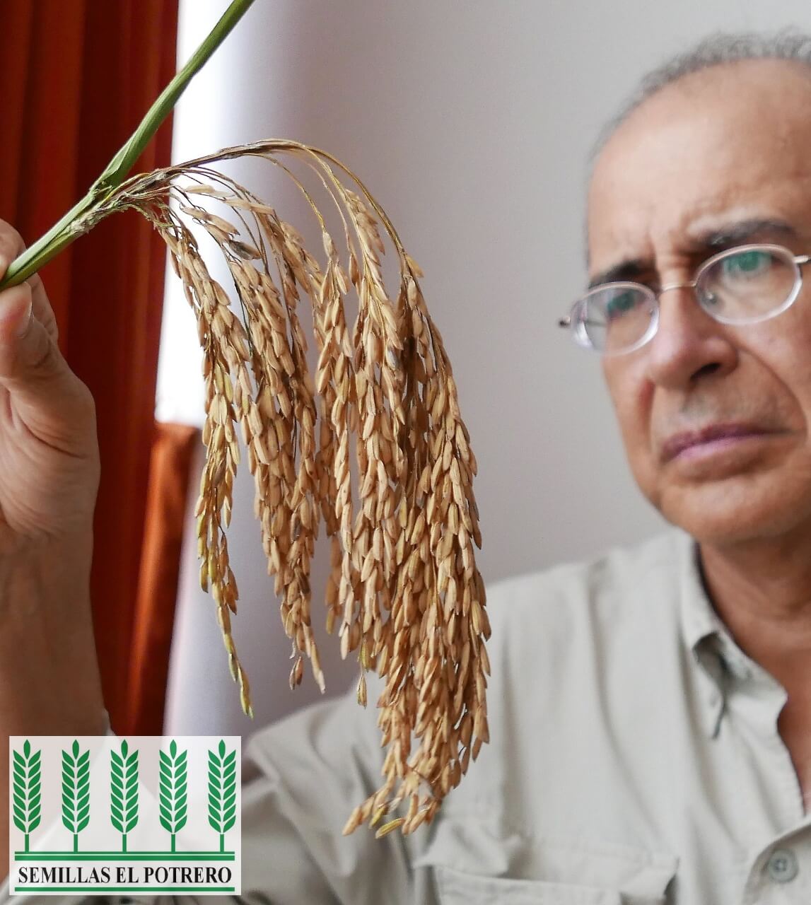 Dr. Carlos Bruzzone Córdova, director del área de investigación de Hacienda el Potrero.