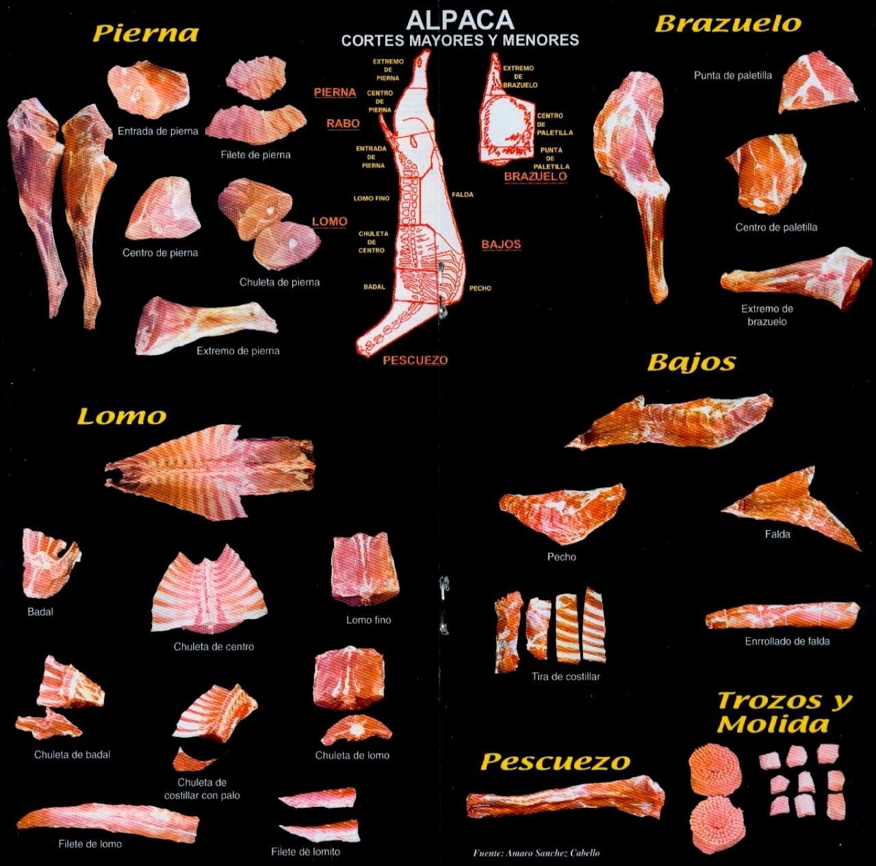 carne de alpaca y sus cortes