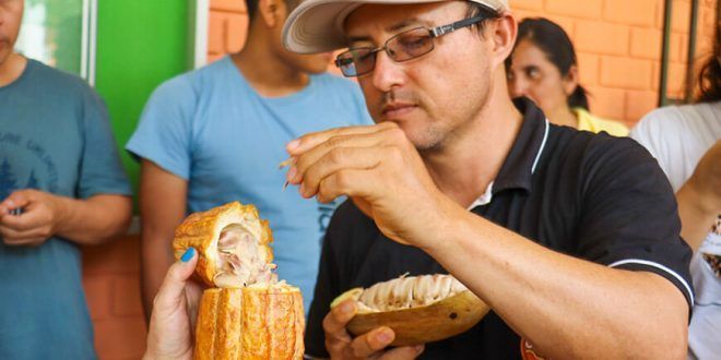 Agricultores y emprendedores fueron capacitados en cata de cacao y chocolate por el proyecto PERU-Hub San Martín