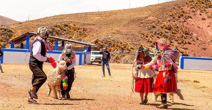Puno: entregan centro de producción de reproductores de alpacas