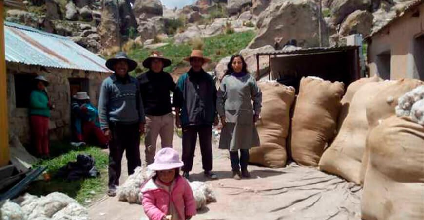 Cooperativa cusqueña logró la certificación de Estándar de Alpaca Responsable