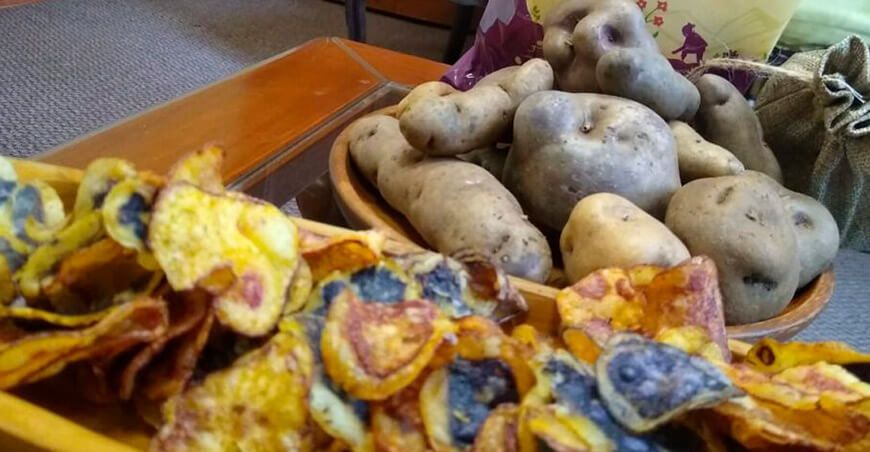 chips papas nativas