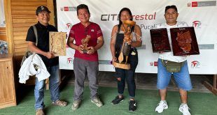 Certifican competencias laborales de 14 artesanos en tallado de madera ITP CITEforestal Pucallpa Perú