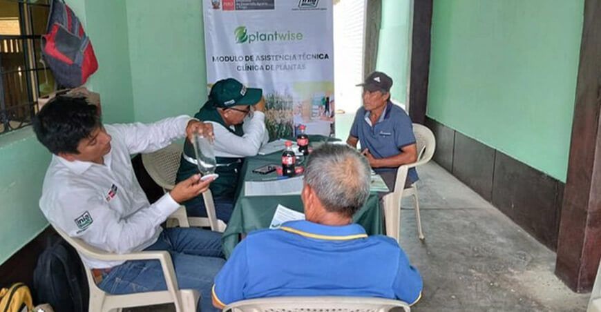 módulo de clínicas de plantas INIA