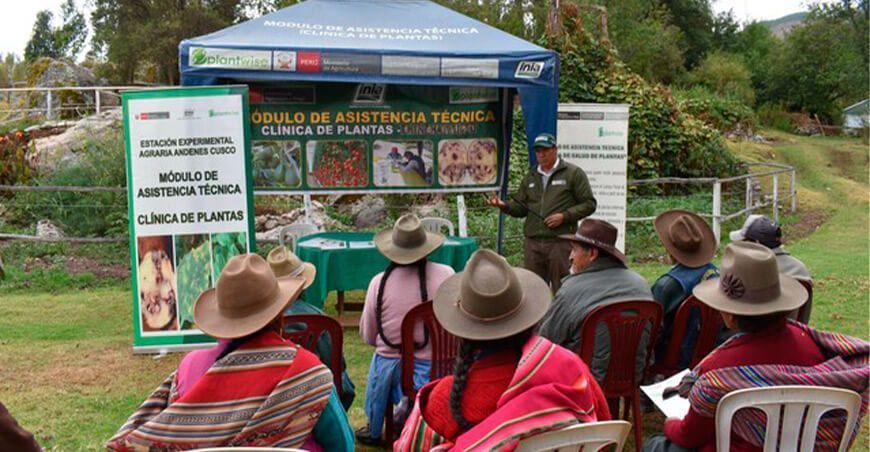 módulos Clínica de Plantas del INIA Cusco