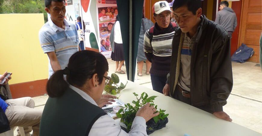 clínica de cultivo INIA