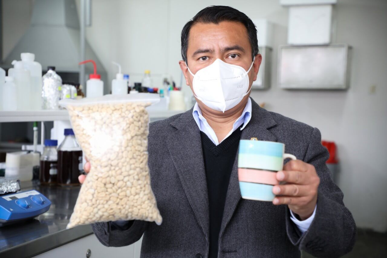 investigadores buscan mejorar calidad del grano del café a partir de heces del coatí