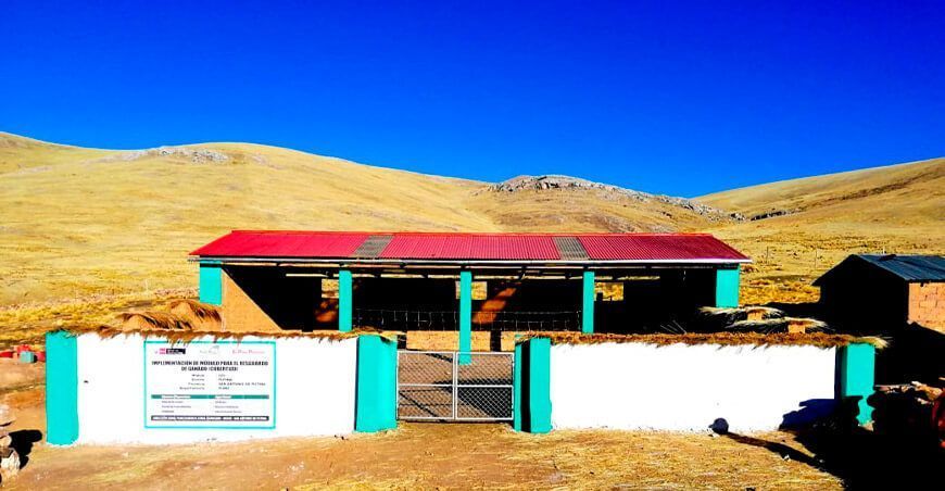 cobertizos ganado Perú