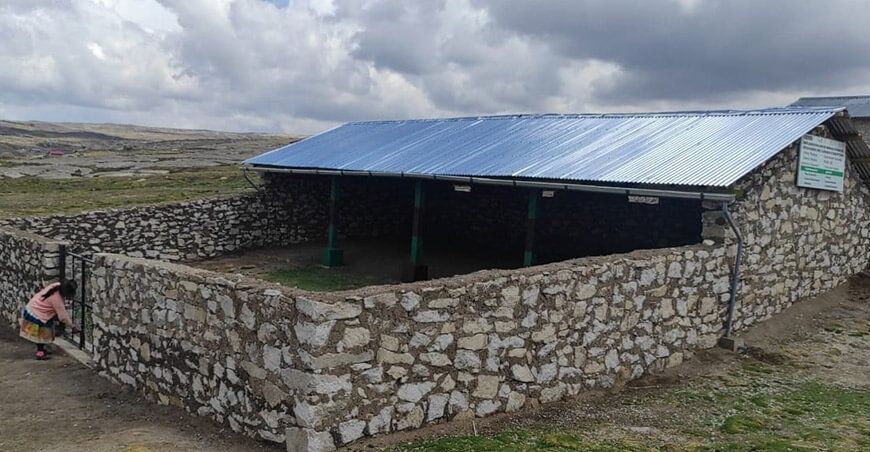 cabezas de ganado vulnerable resguardadas en cobertizos Agro Rural Perú