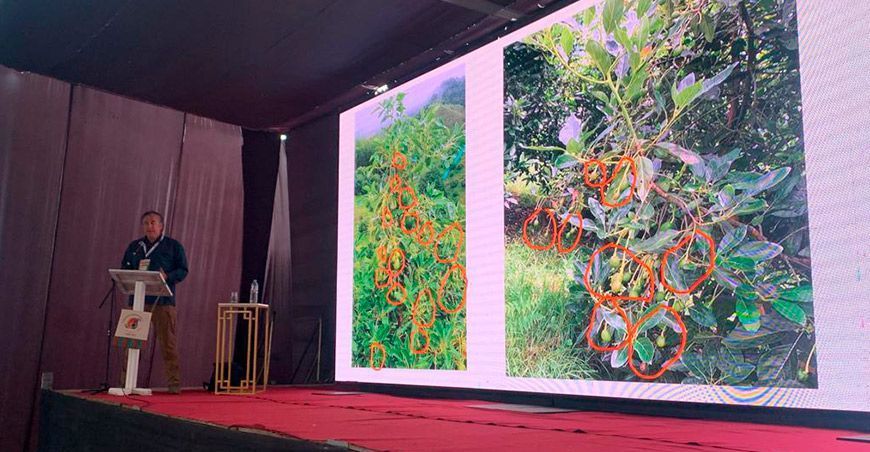 Congreso Internacional de Mango y Palto