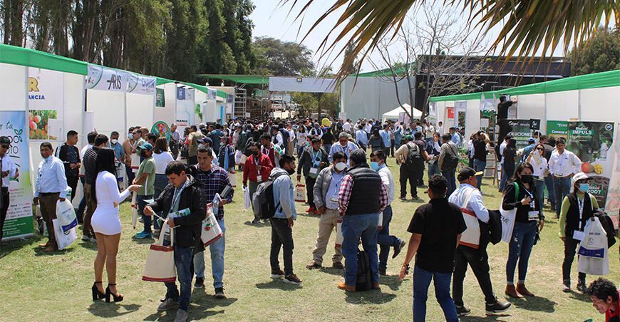 Congreso Internacional de Mango y Palto