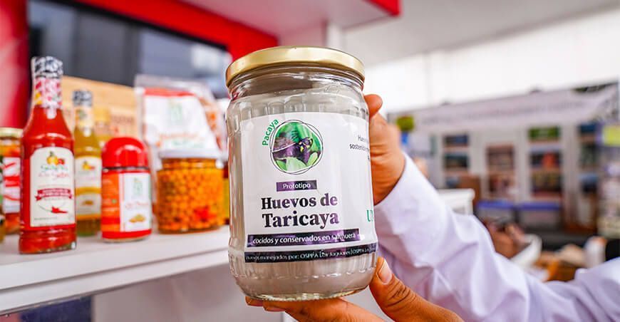 conserva de huevos de taricaya