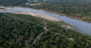 Madre de Dios: Carretera afectará pueblos en aislamiento, comunidades nativas y áreas naturales protegidas