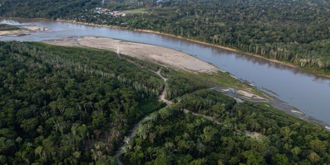 Madre de Dios: Carretera afectará pueblos en aislamiento, comunidades nativas y áreas naturales protegidas