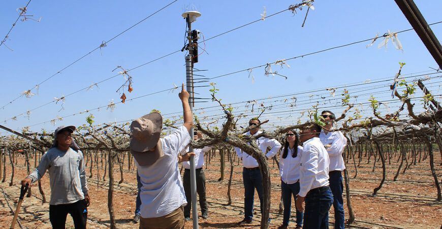 Pro Olmos y SGS optimizan el consumo de agua en agroexportación