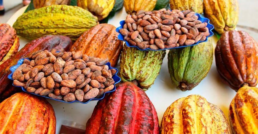 exportaciones de cacao
