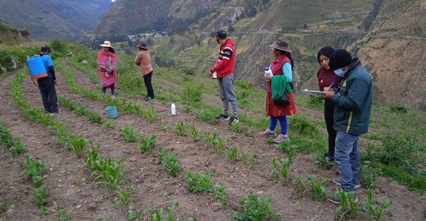 productores afectados por las heladas y granizadas