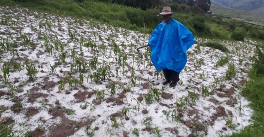 seguro agrario catastrófico para cultivos afectados por heladas y nevadas en la sierra del Perú