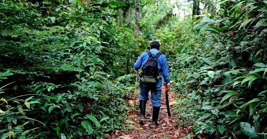 Defensor ambiental Perú