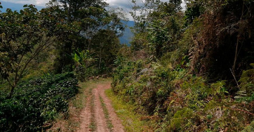 vías de transporte limitan acceso al Parque Nacional del Café en Junín