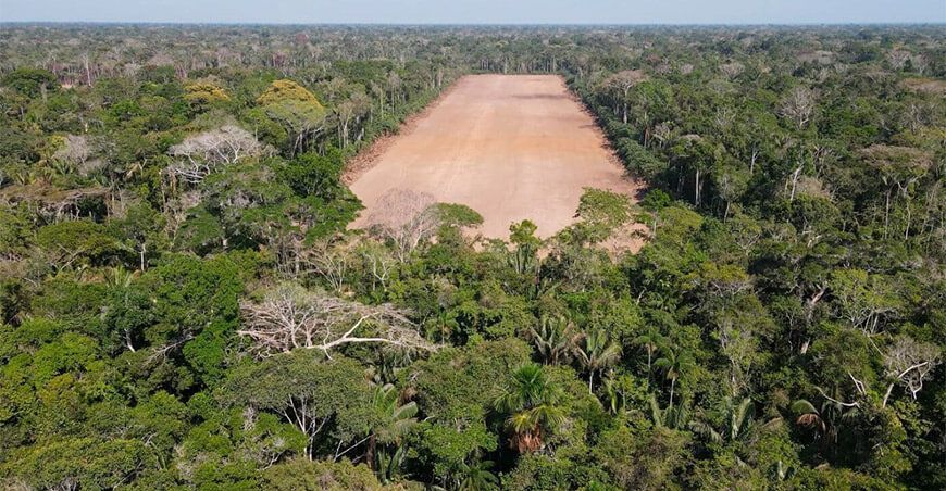 Deforestación: Amazonía perderá unas 860 mil hectáreas este año