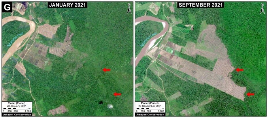 Deforestación: Amazonía perderá unas 860 mil hectáreas este año