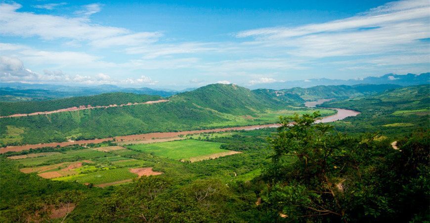 Supervisan deforestación de bosques en Ucayali