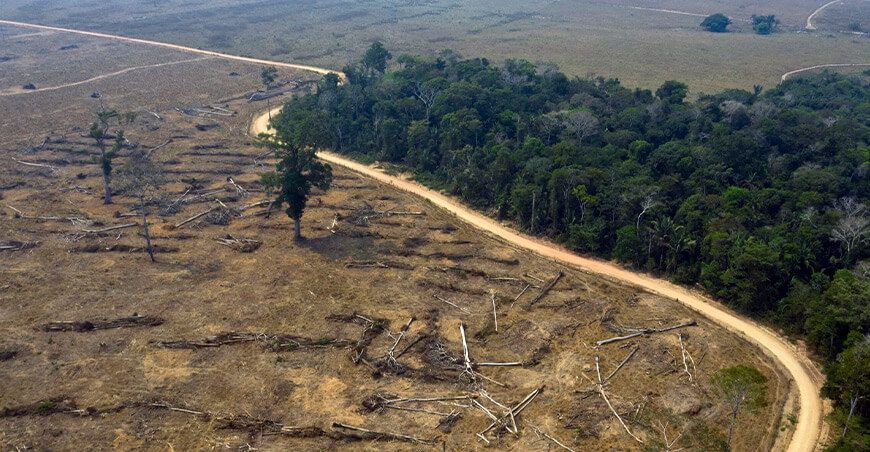 deforestación FAO