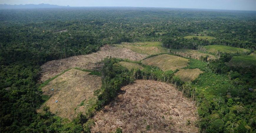 deforestación en el Perú