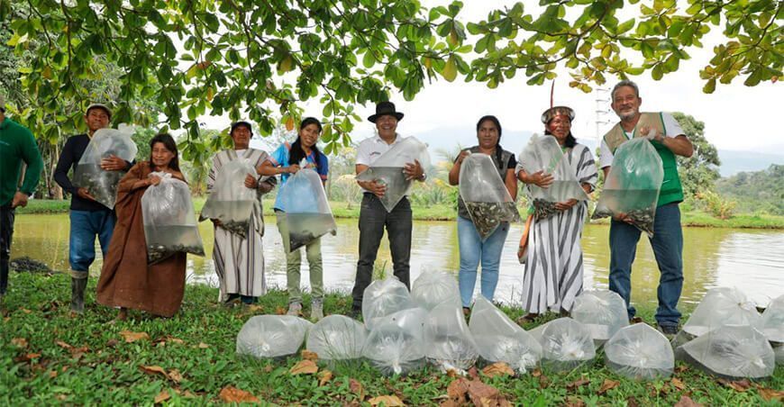 Devida entrega alevinos paco a productores de Sampantuari
