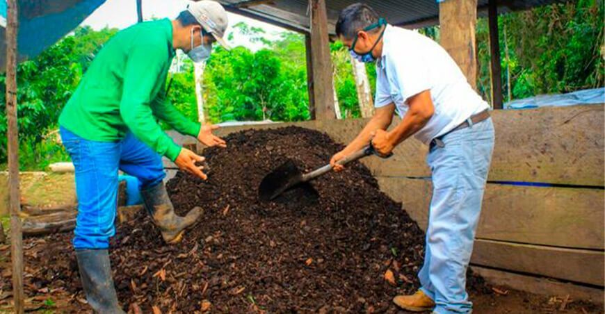 preparación de compost para mejorar cultivo de cacao