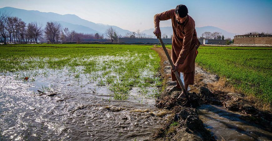El Día Mundial de la Alimentación convierte el agua en su protagonista