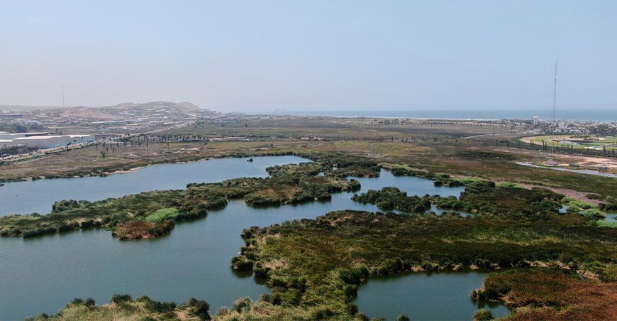 Día Mundial de los Humedales