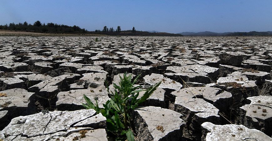 Día Mundial de la Lucha contra la Desertificación y la Sequía