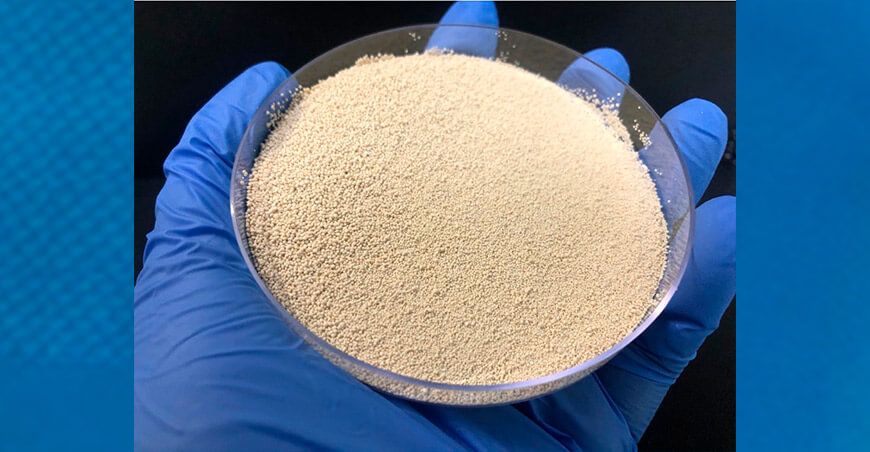 DSM lanza nueva generación de fitasa para aves y cerdos