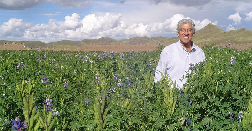 Dr. Mario Tapia Núñez, investigador en sistemas andinos de producción