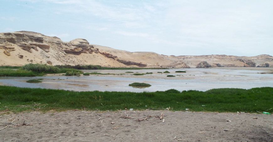 Ecosistemas Frágiles Arequipa