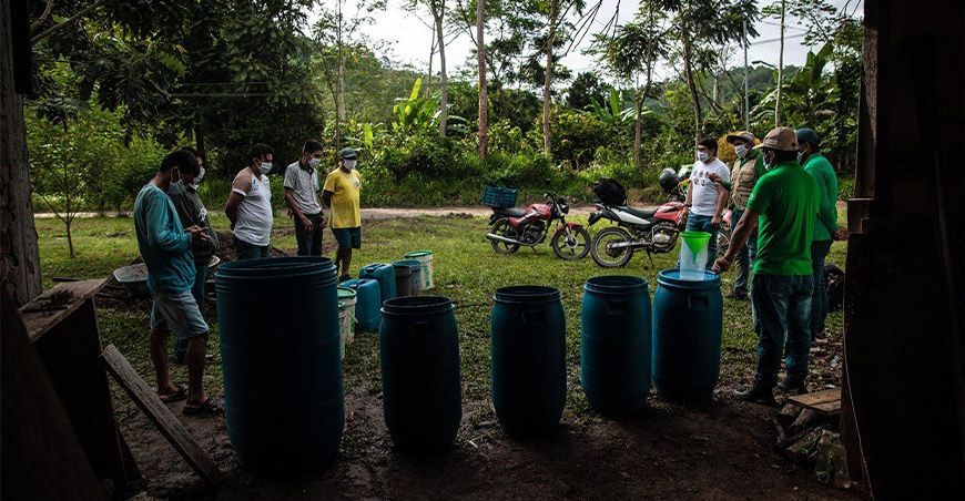 biofertilizantes para el cultivo de cacao