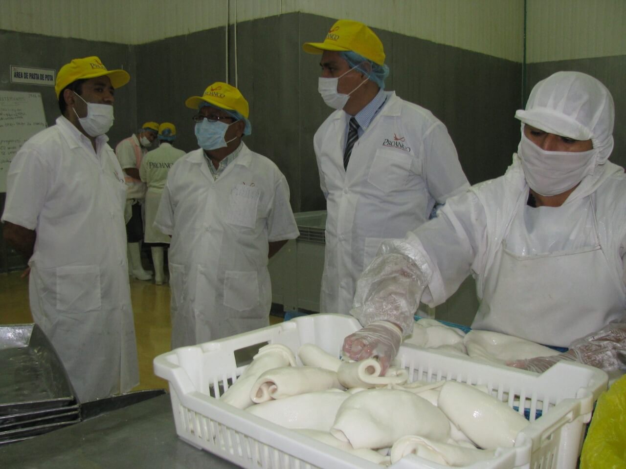 Trabajadores de agroexportadoras