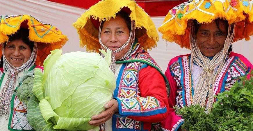 productoras de hortalizas Perú