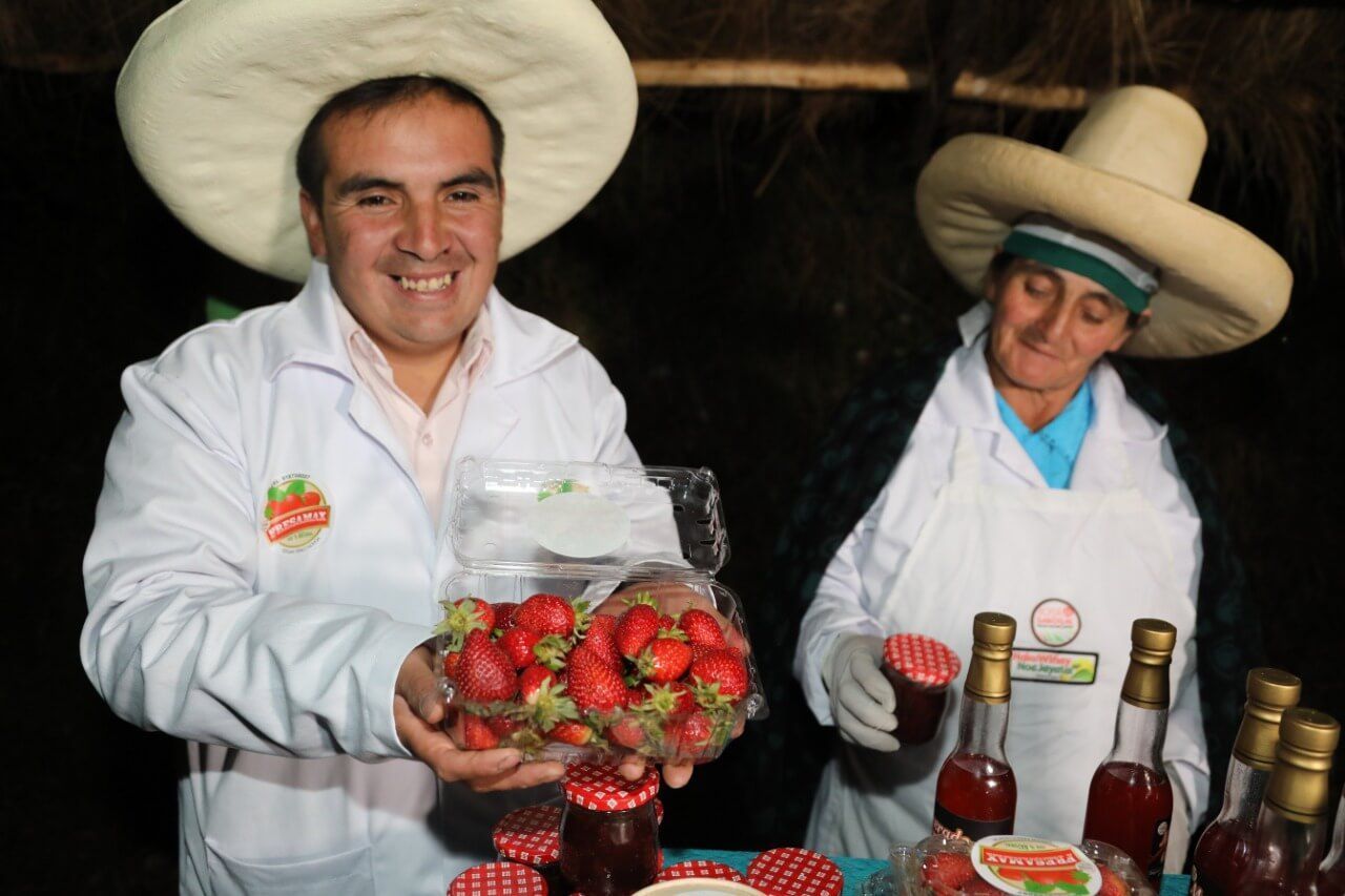productores de fresa Cajamarca Haku Wiñay Foncodes