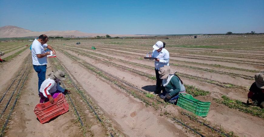 Gobierno debe aclarar en qué consiste la segunda reforma agraria