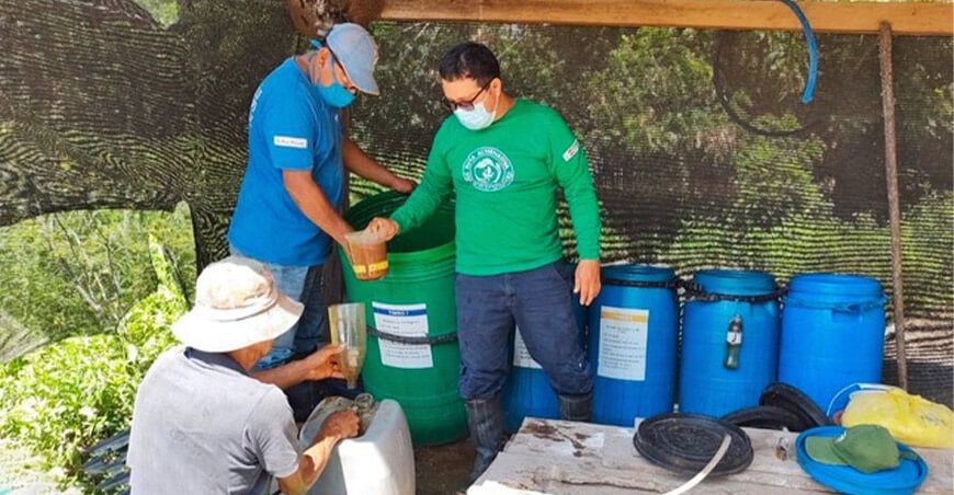 Entregan 37 mil litros de biofertilizantes a cacaoteros de San Martín