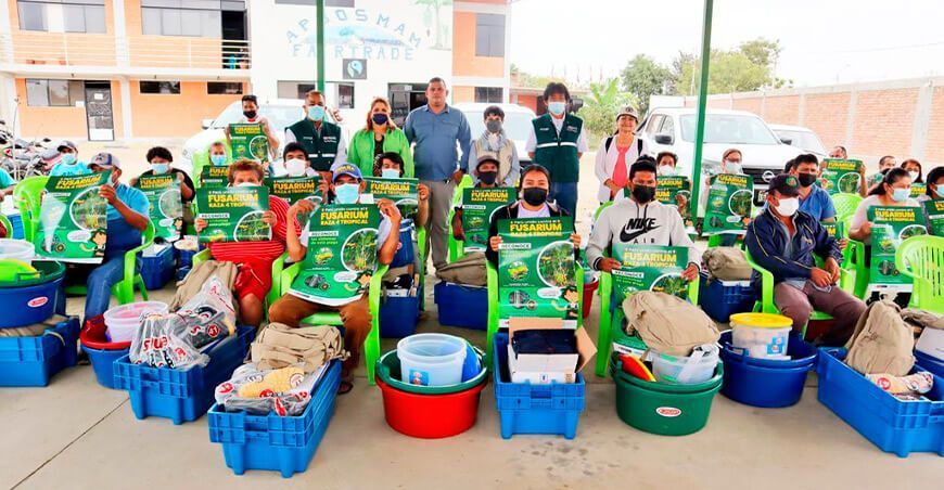 Senasa y FAO afianzan acciones para la contención del Fusarium R4T en Piura