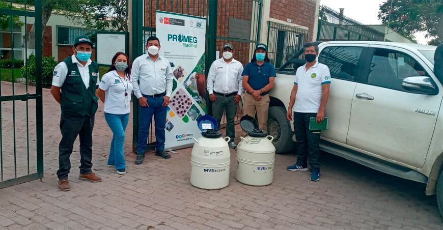 Entrega de pajillas de semen INIA