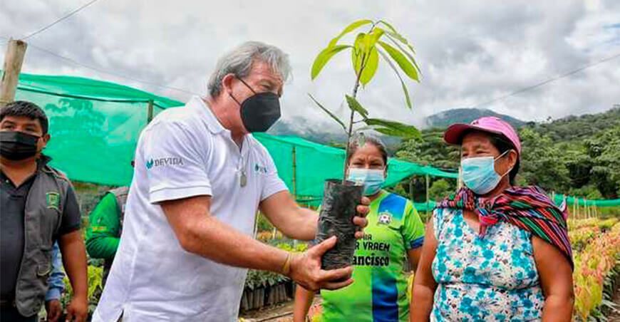 entrega de plantones de cacao Vraem