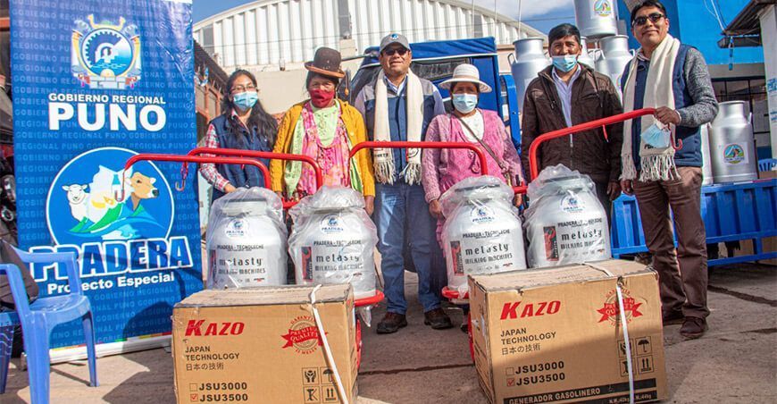 entrega de porongos lecheros a ganaderos Puno